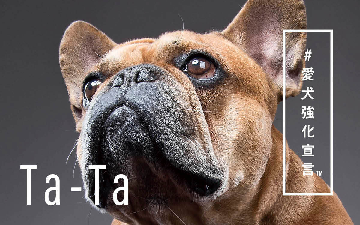 犬用コラーゲンサプリ「Ta-Ta」、愛犬との生活がより豊かになることを 